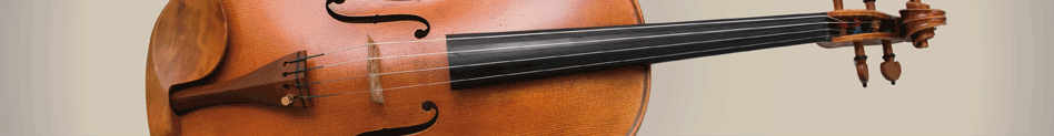 a viola